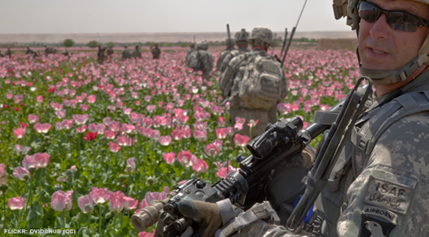 Poppy Fields over Civil Rights?